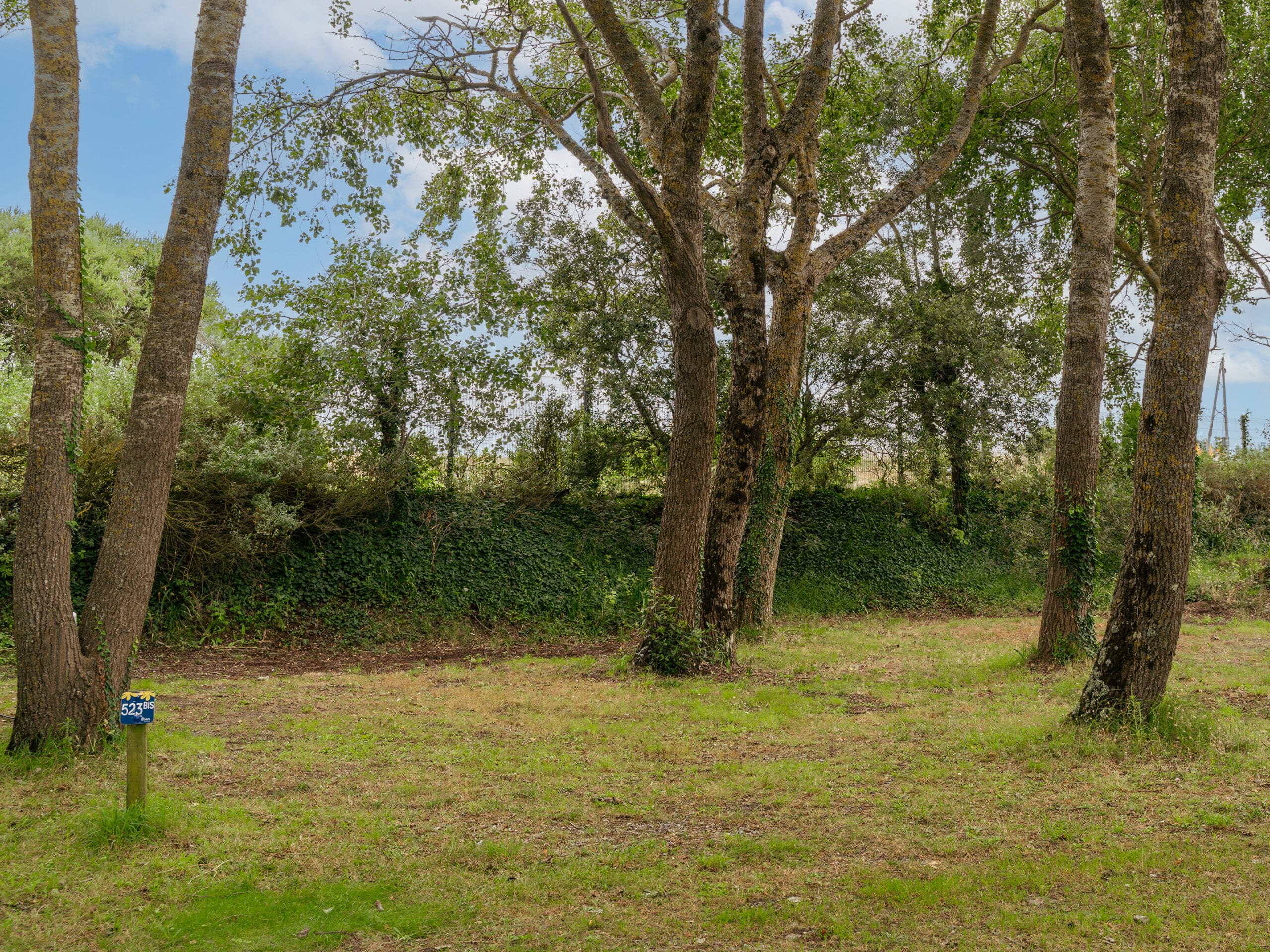 LesPaludiers LucianoFlora 32 0